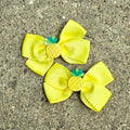 Pineapple clip set